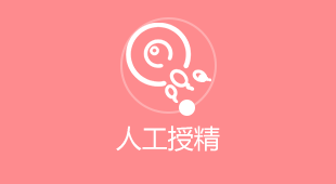 无法加载
